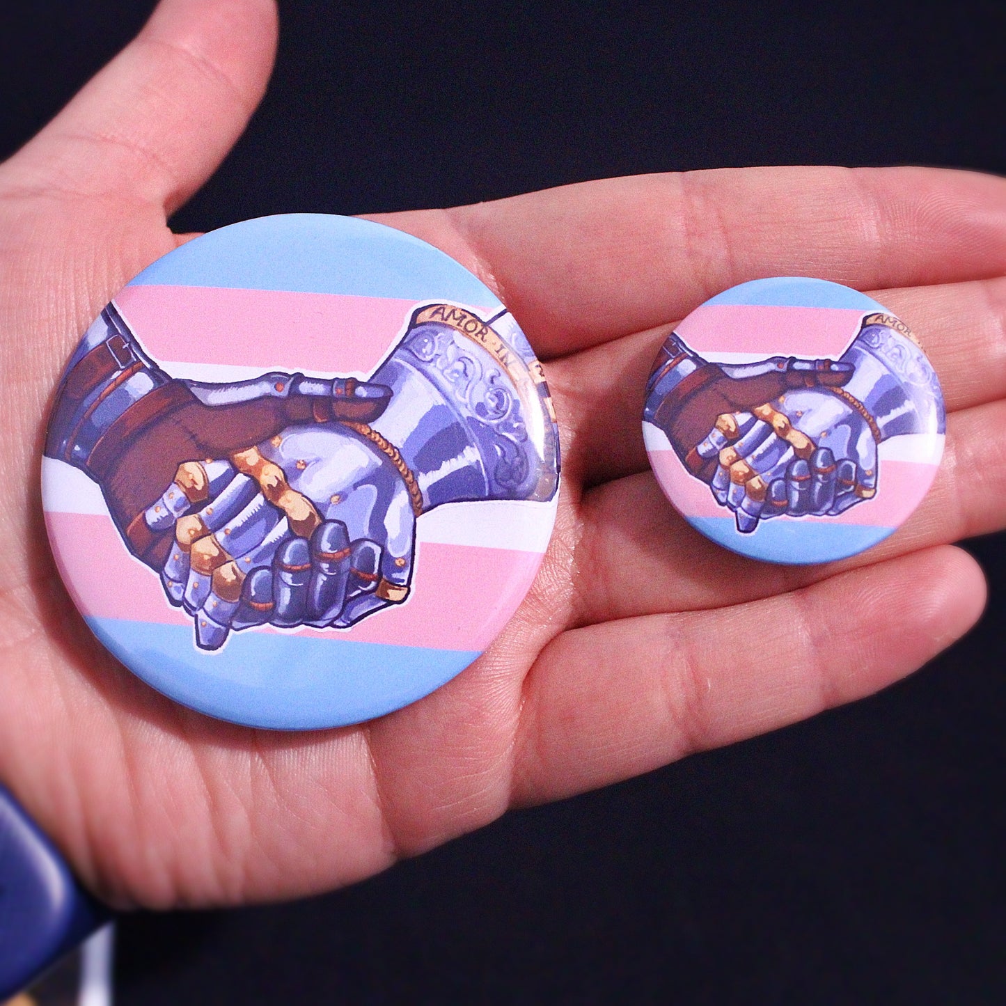 🏳️‍🌈LGBTQ+ Knights Pin